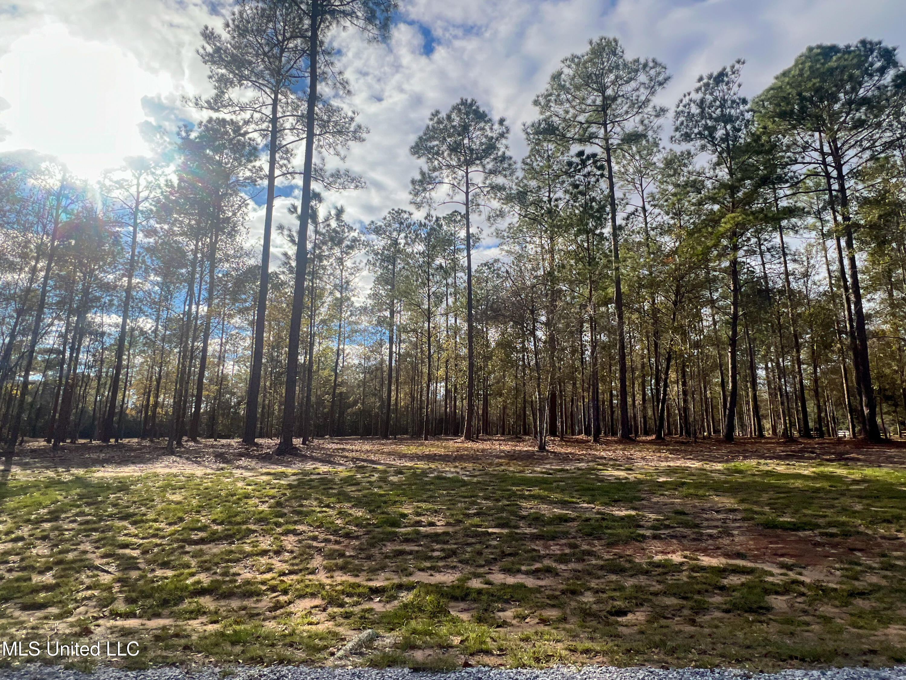 Lot 18 Pine Ridge Lane, Lucedale, Mississippi image 3