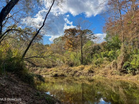 Vacant Land For Sale - 80.8 Acres<br/> Leake County, Carthage, MS 39051