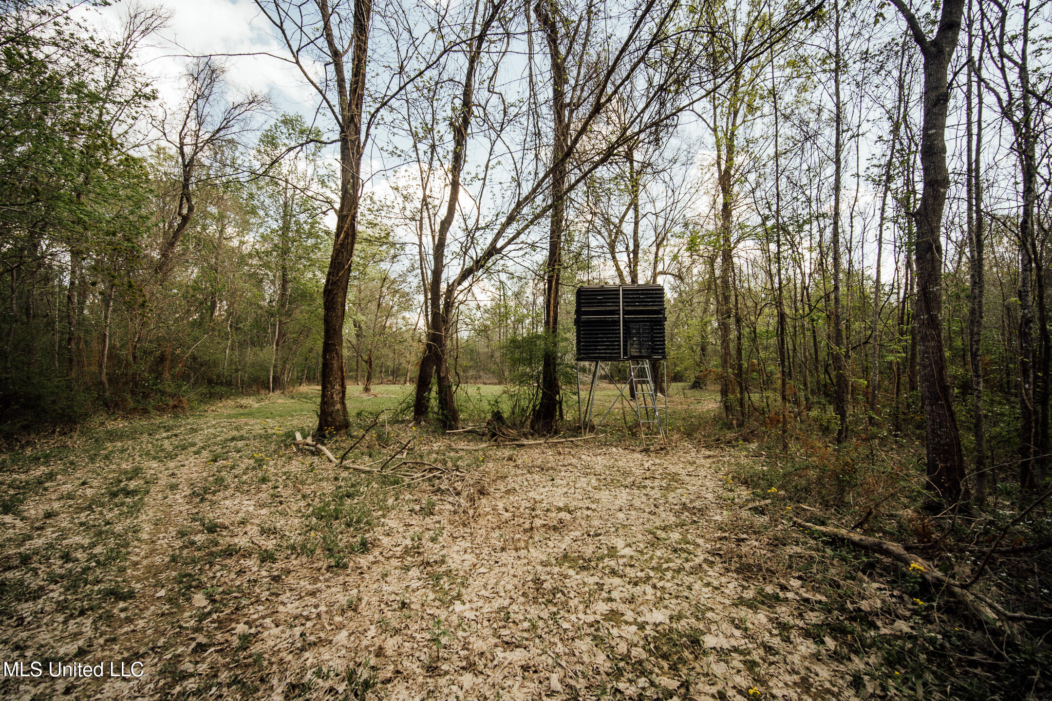 168 Adams Werner Road Road, Poplarville, Mississippi image 46