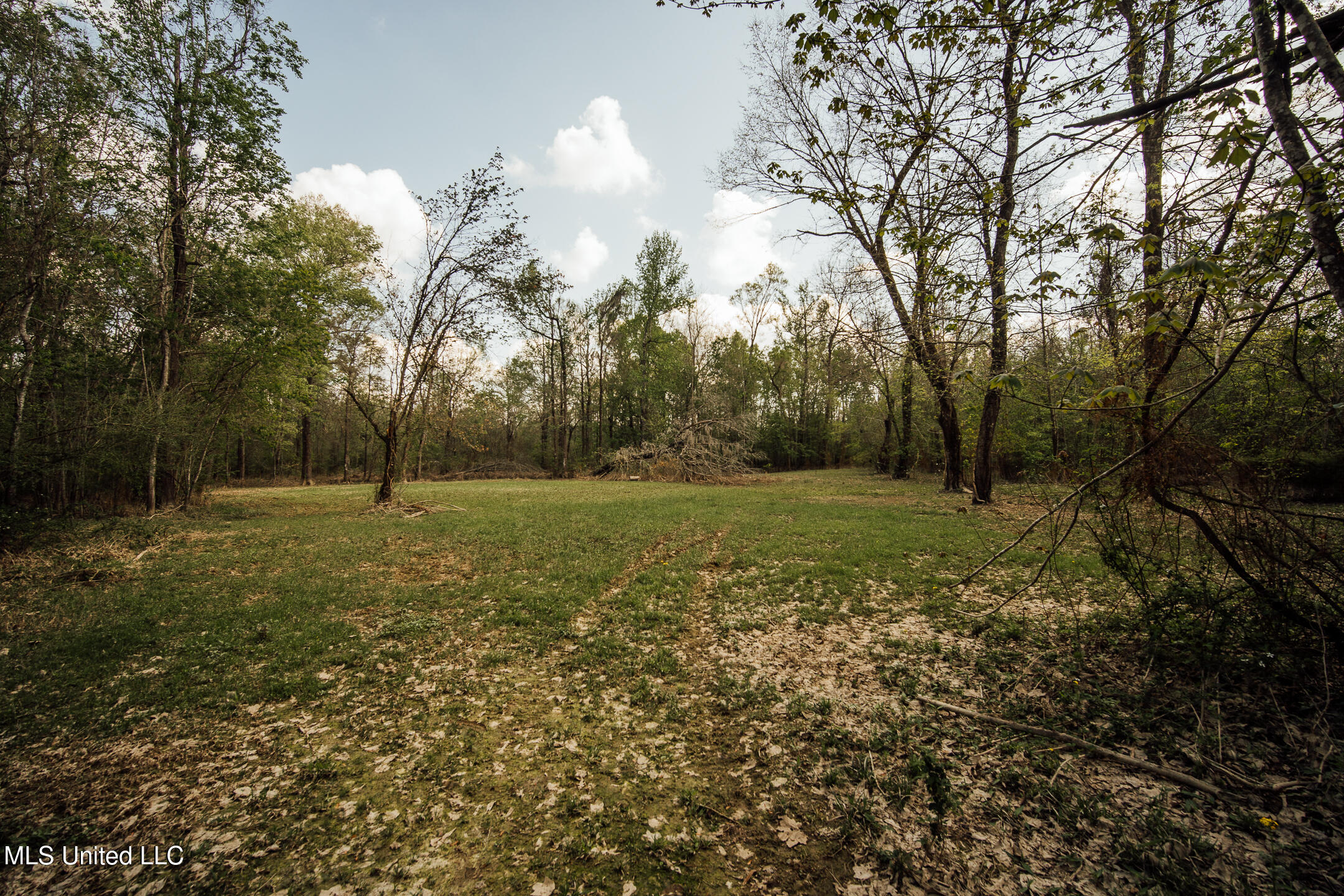168 Adams Werner Road Road, Poplarville, Mississippi image 47