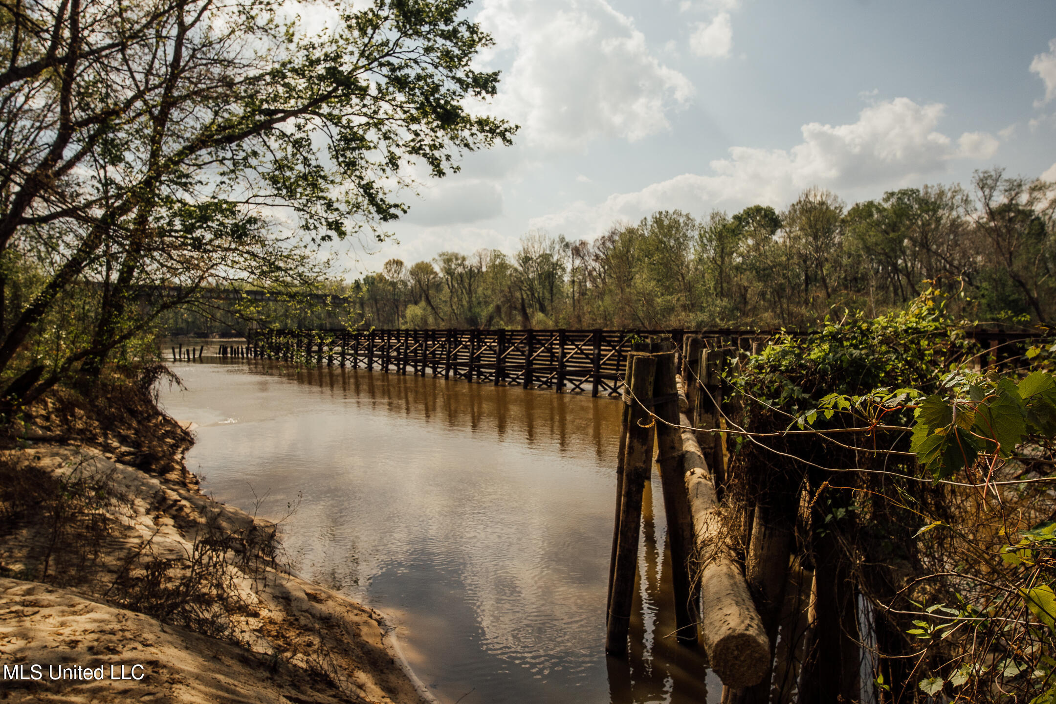 168 Adams Werner Road Road, Poplarville, Mississippi image 34