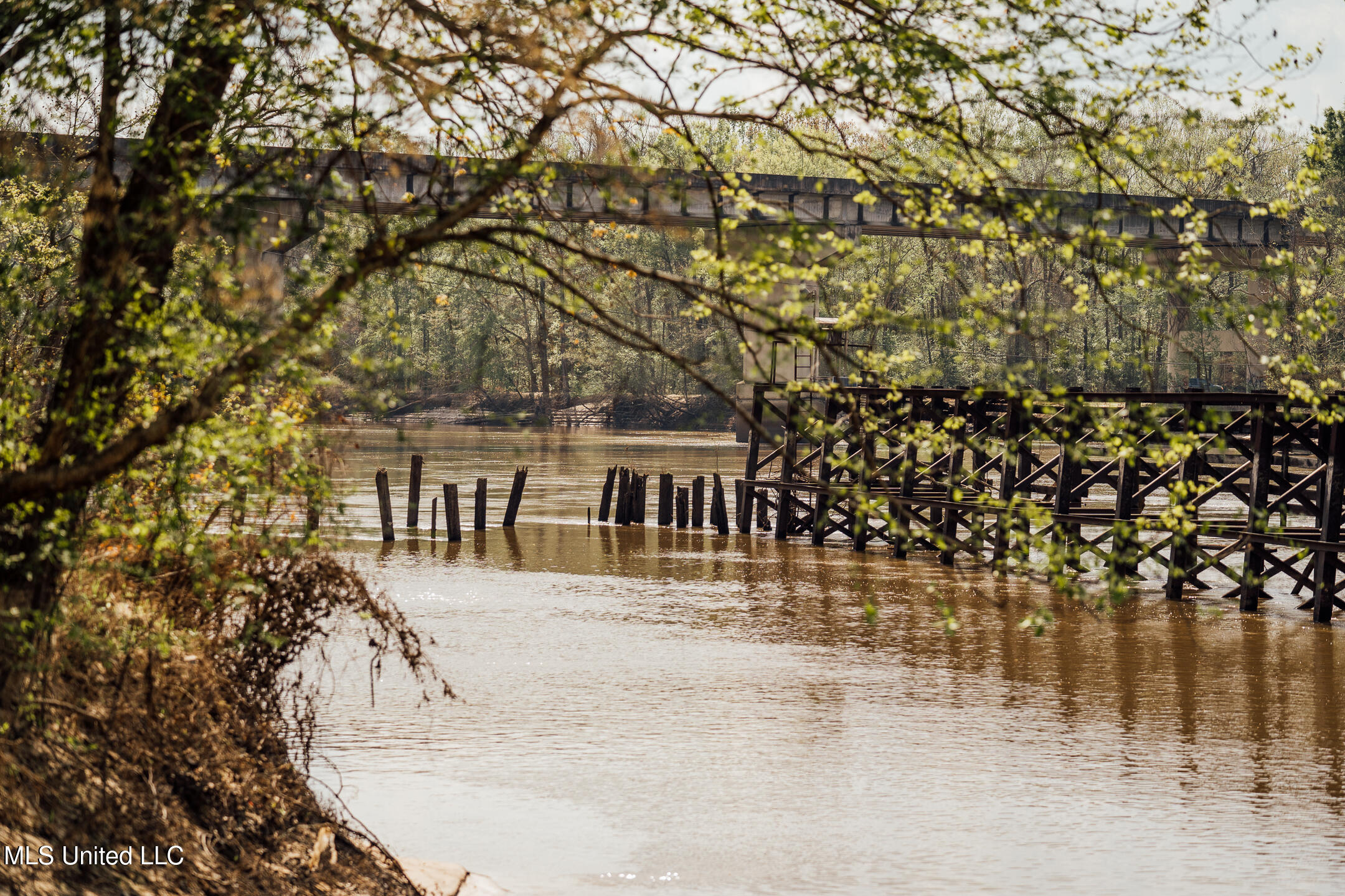 168 Adams Werner Road Road, Poplarville, Mississippi image 44