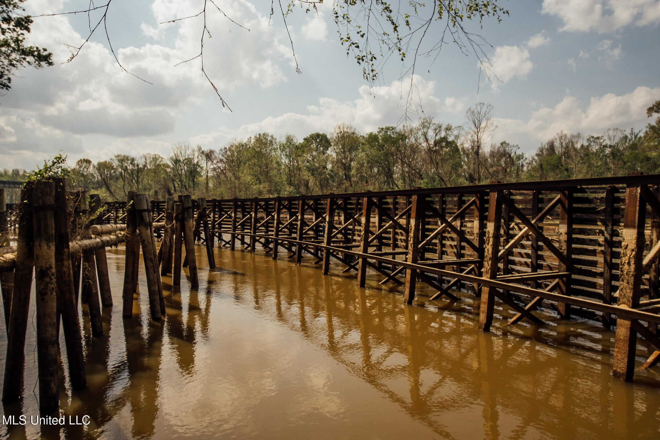 168 Adams Werner Road Road, Poplarville, Mississippi image 35
