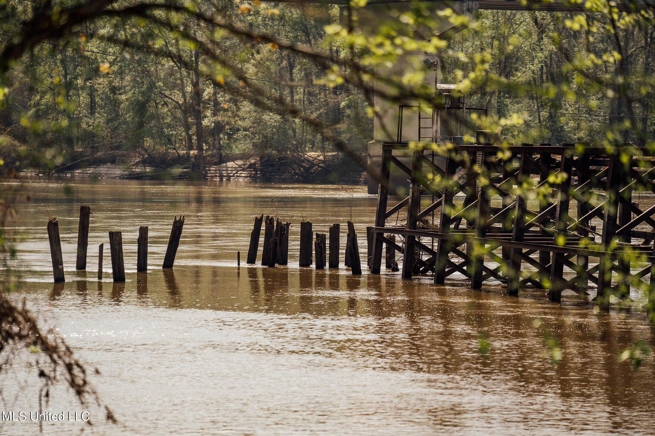 168 Adams Werner Road Road, Poplarville, Mississippi image 43