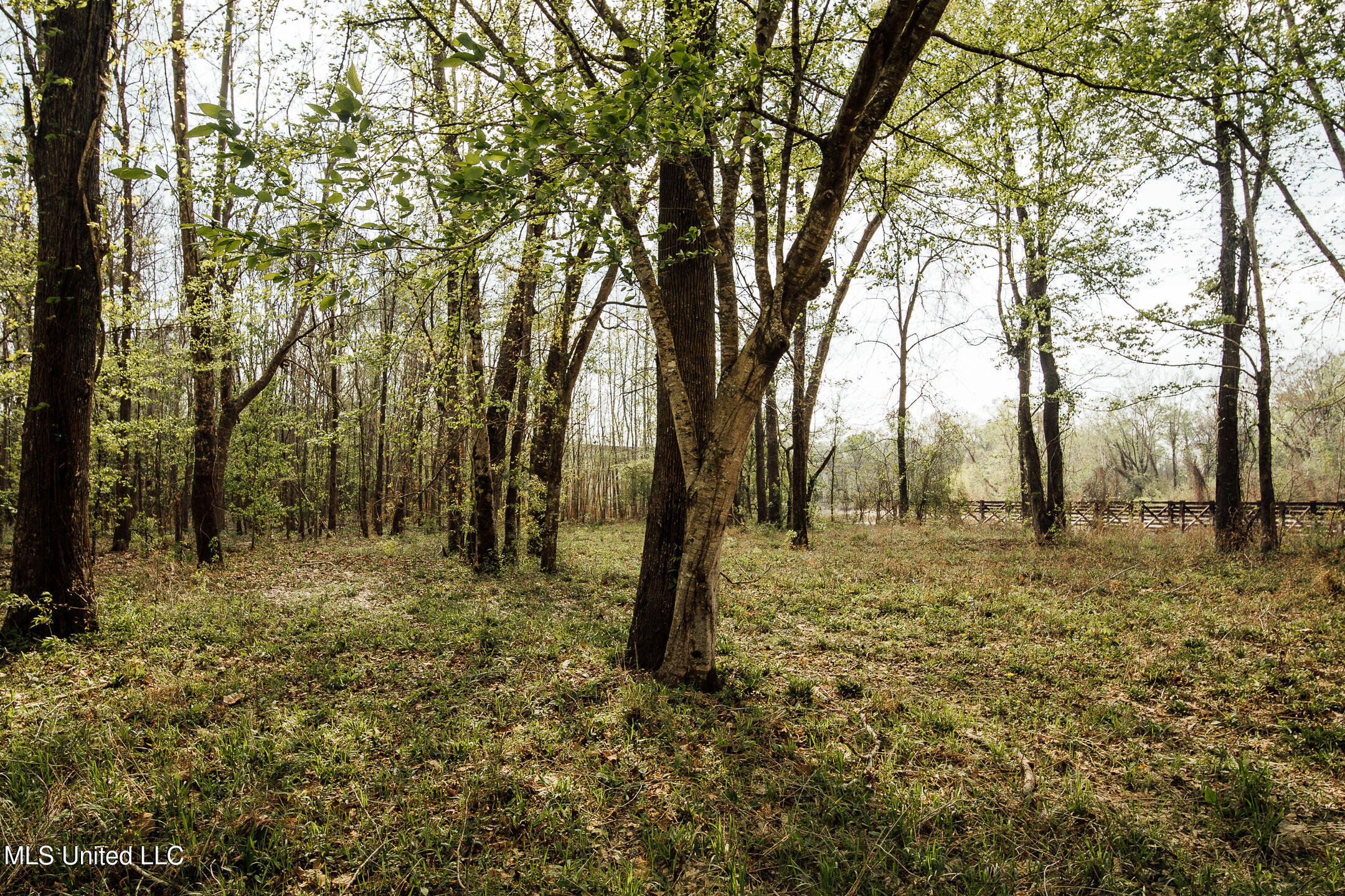 168 Adams Werner Road Road, Poplarville, Mississippi image 36