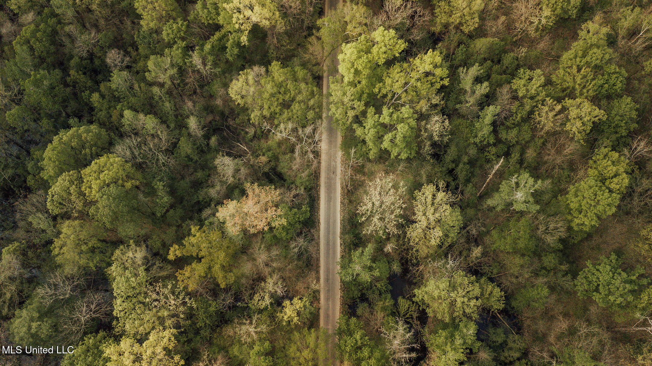 168 Adams Werner Road Road, Poplarville, Mississippi image 11