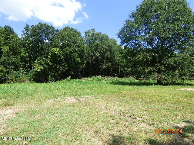 1049 Johnson Lane, Port Gibson, Mississippi image 17
