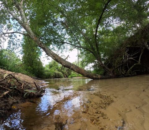 Vacant Land For Sale - 1608 Highway 586<br/> Marion County, Foxworth, MS 39483