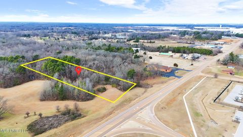 Vacant Land For Sale - N Us-51<br/> Nesbit, MS 38651
