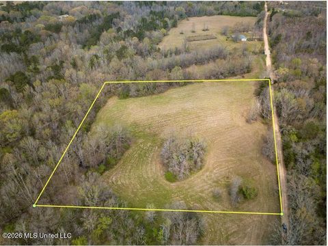 Vacant Land For Sale - Simpson Road<br/> Madison County, Pickens, MS 39146