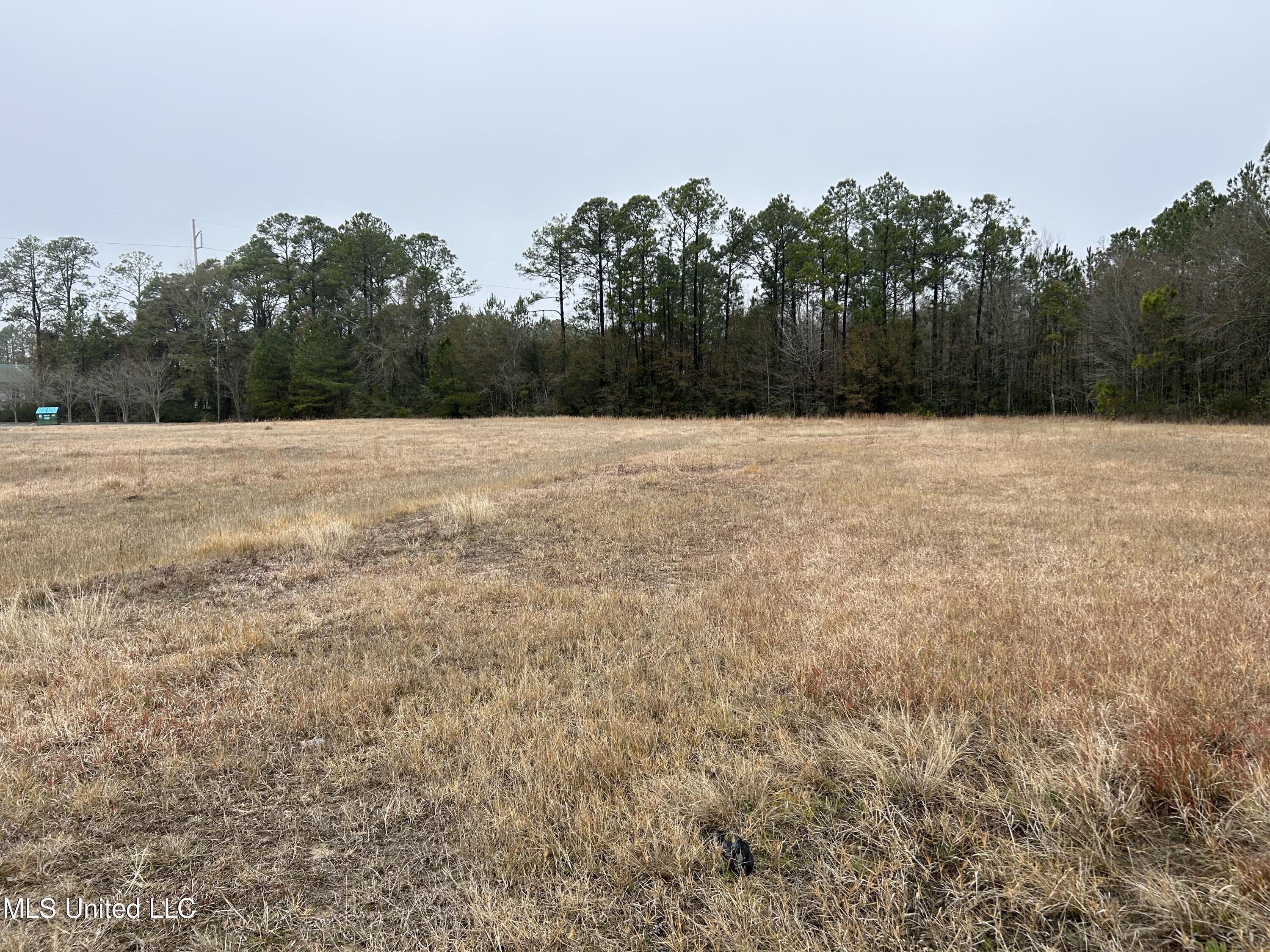 Denny Avenue, Pascagoula, Mississippi image 1