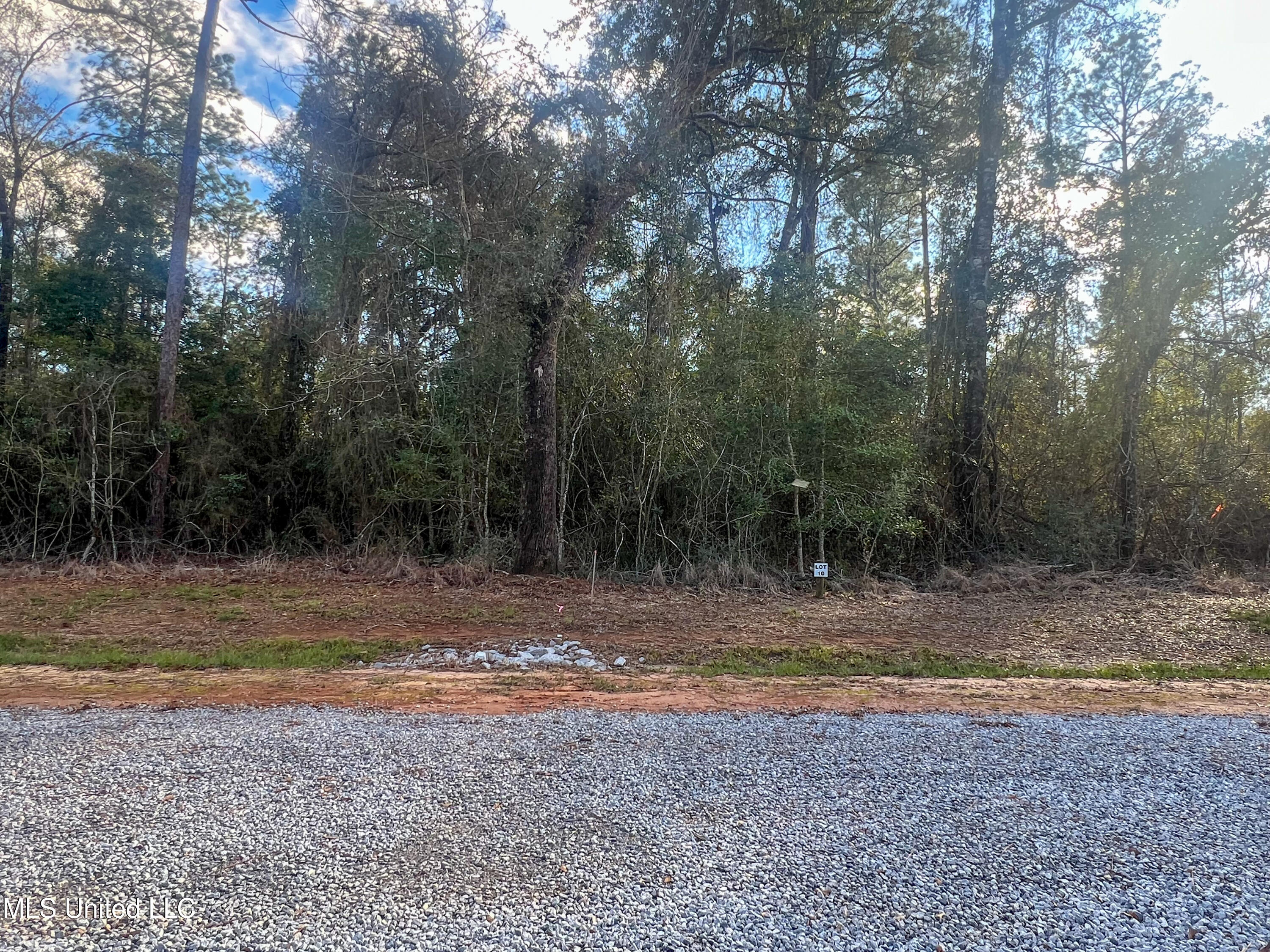 Lot 10 Pine Ridge Lane, Lucedale, Mississippi image 4