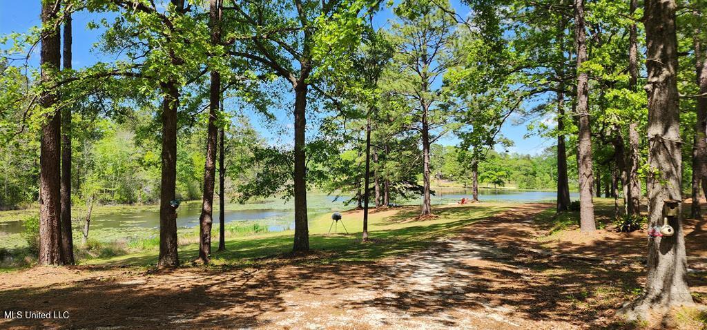 29 Lynne D Lane, Purvis, Mississippi image 46