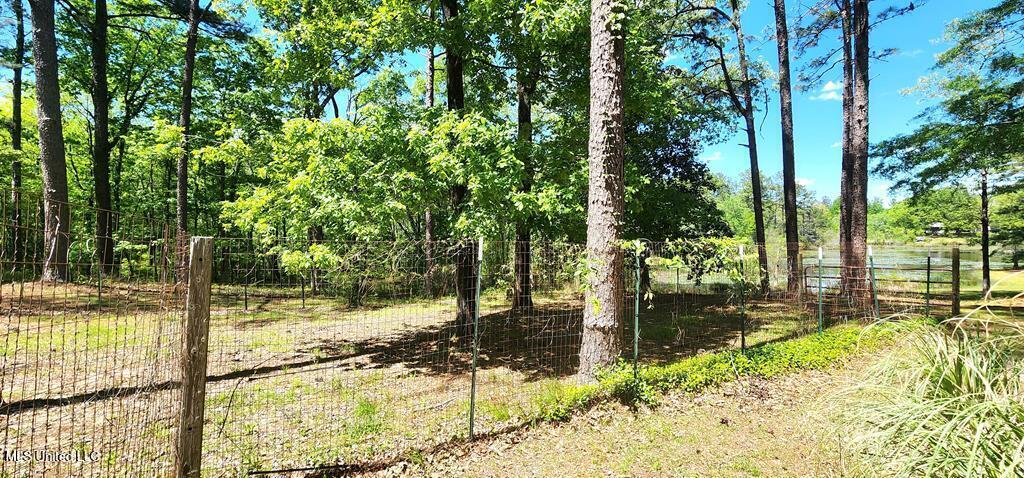29 Lynne D Lane, Purvis, Mississippi image 35
