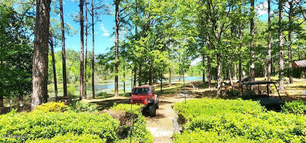 29 Lynne D Lane, Purvis, Mississippi image 33