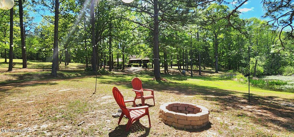 29 Lynne D Lane, Purvis, Mississippi image 42