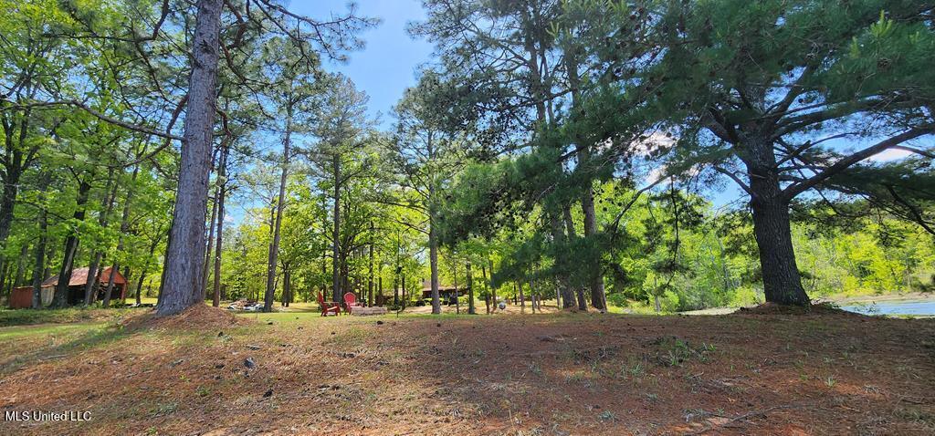 29 Lynne D Lane, Purvis, Mississippi image 44