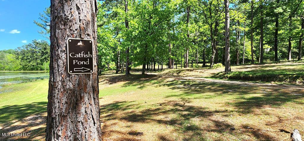 29 Lynne D Lane, Purvis, Mississippi image 41