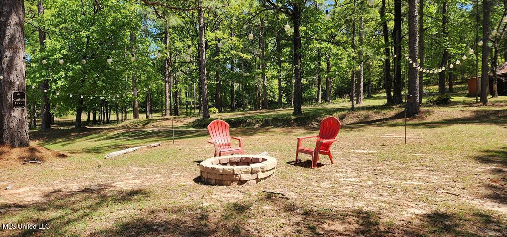 29 Lynne D Lane, Purvis, Mississippi image 45