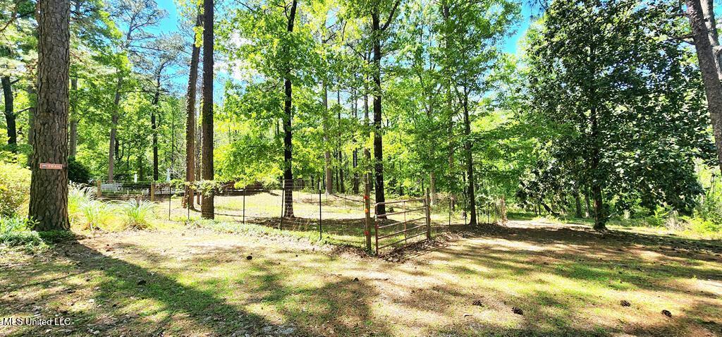29 Lynne D Lane, Purvis, Mississippi image 36