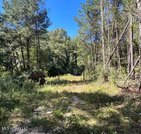 Bolen Long Creek Rd Road, Meridian, Mississippi image 10