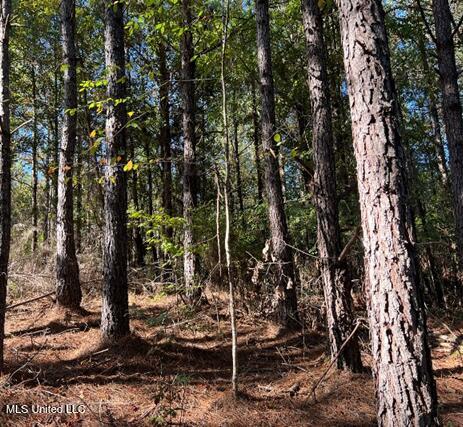 Bolen Long Creek Rd Road, Meridian, Mississippi image 2