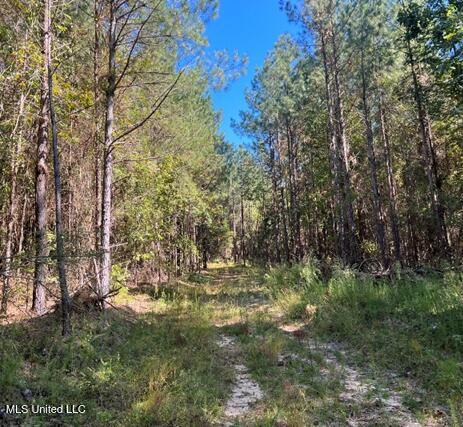 Bolen Long Creek Rd Road, Meridian, Mississippi image 3