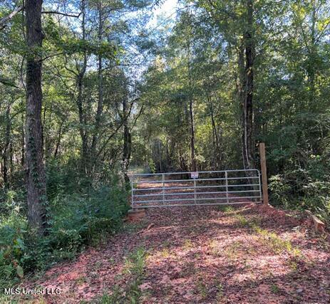 Bolen Long Creek Rd Road, Meridian, Mississippi image 1