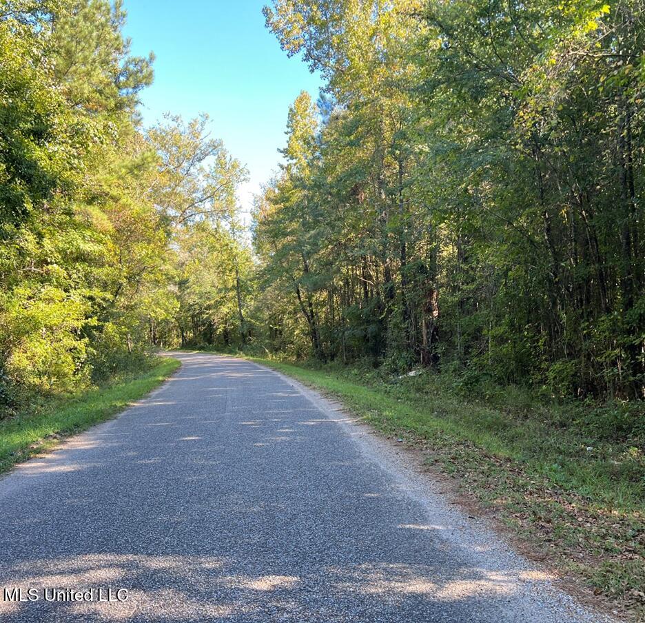 Bolen Long Creek Rd Road, Meridian, Mississippi image 9