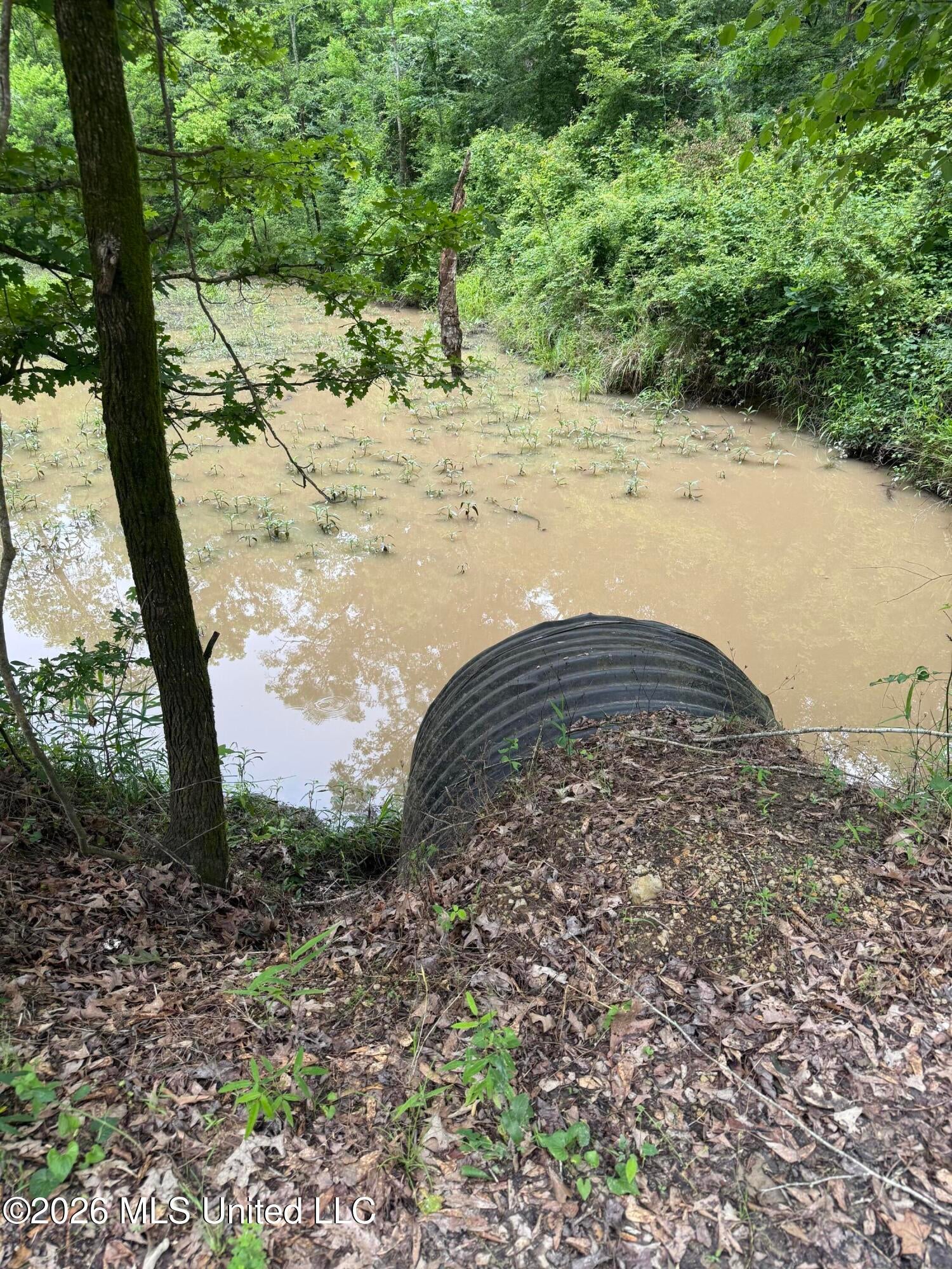 River Ridge Road