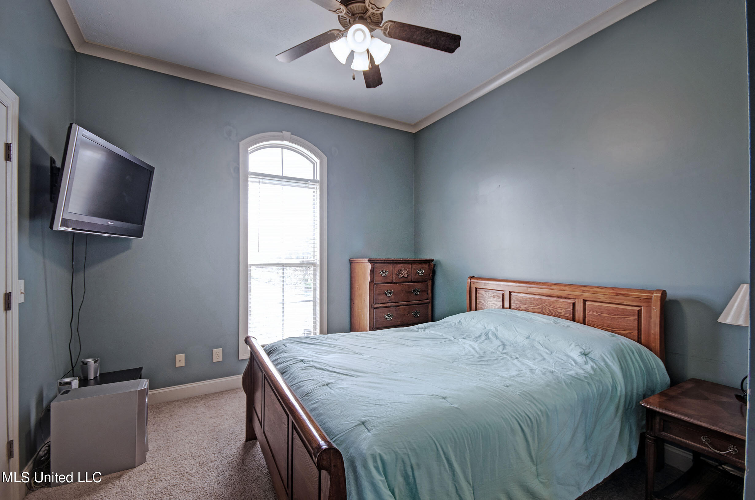 207 Provonce Park, Brandon, Mississippi image 14
