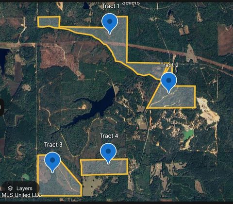 Vacant Land For Sale - 27585 V Bar Road<br/> Perkinston, MS 39573