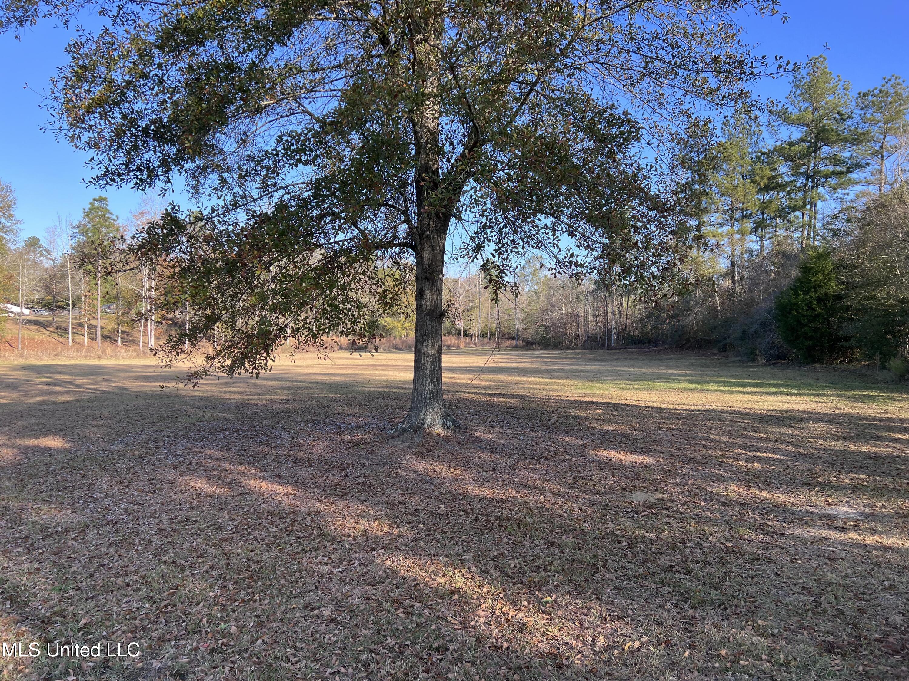 Buccaneer Drive, Hattiesburg, Mississippi image 3