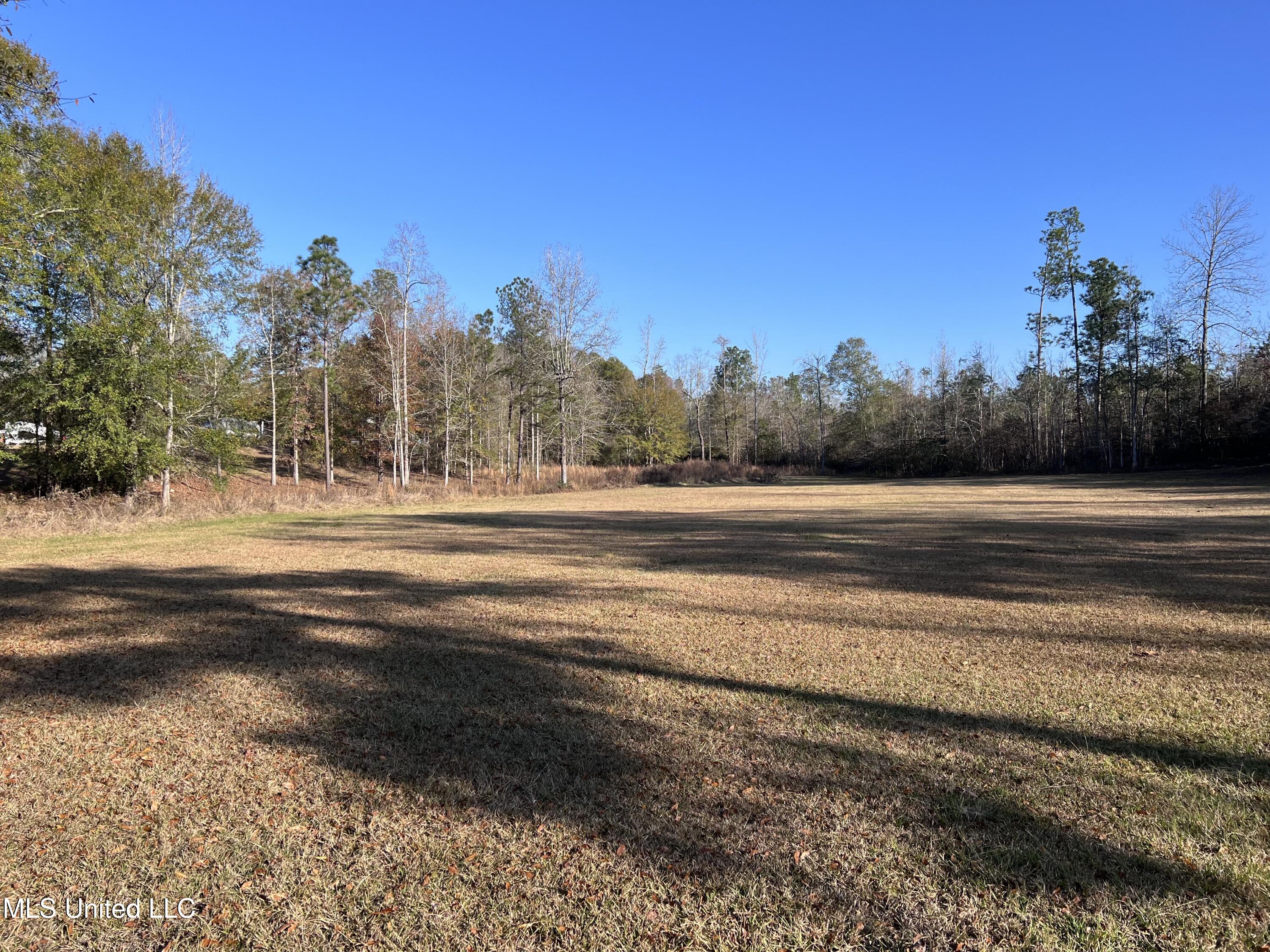 Buccaneer Drive, Hattiesburg, Mississippi image 1