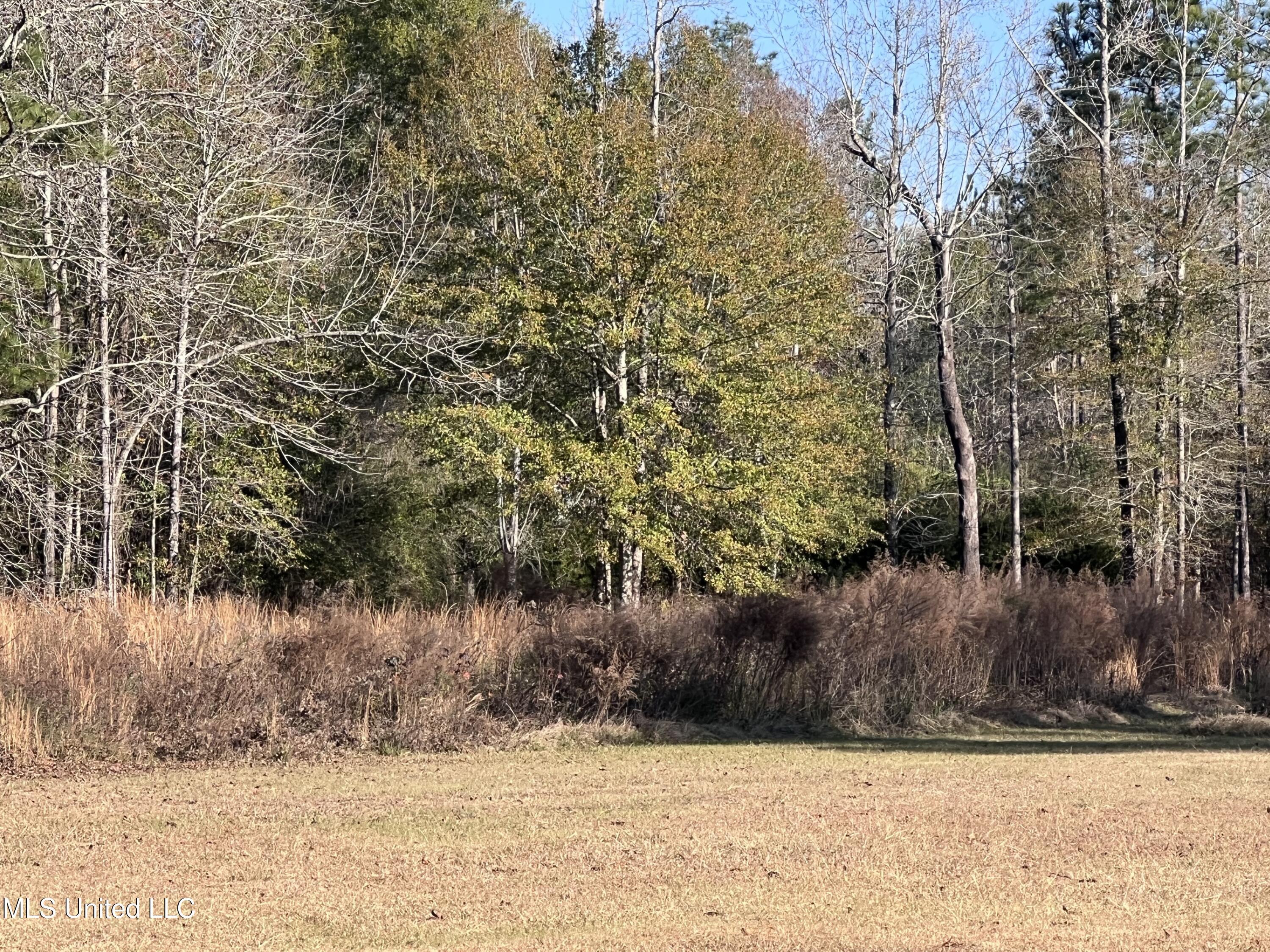 Buccaneer Drive, Hattiesburg, Mississippi image 8