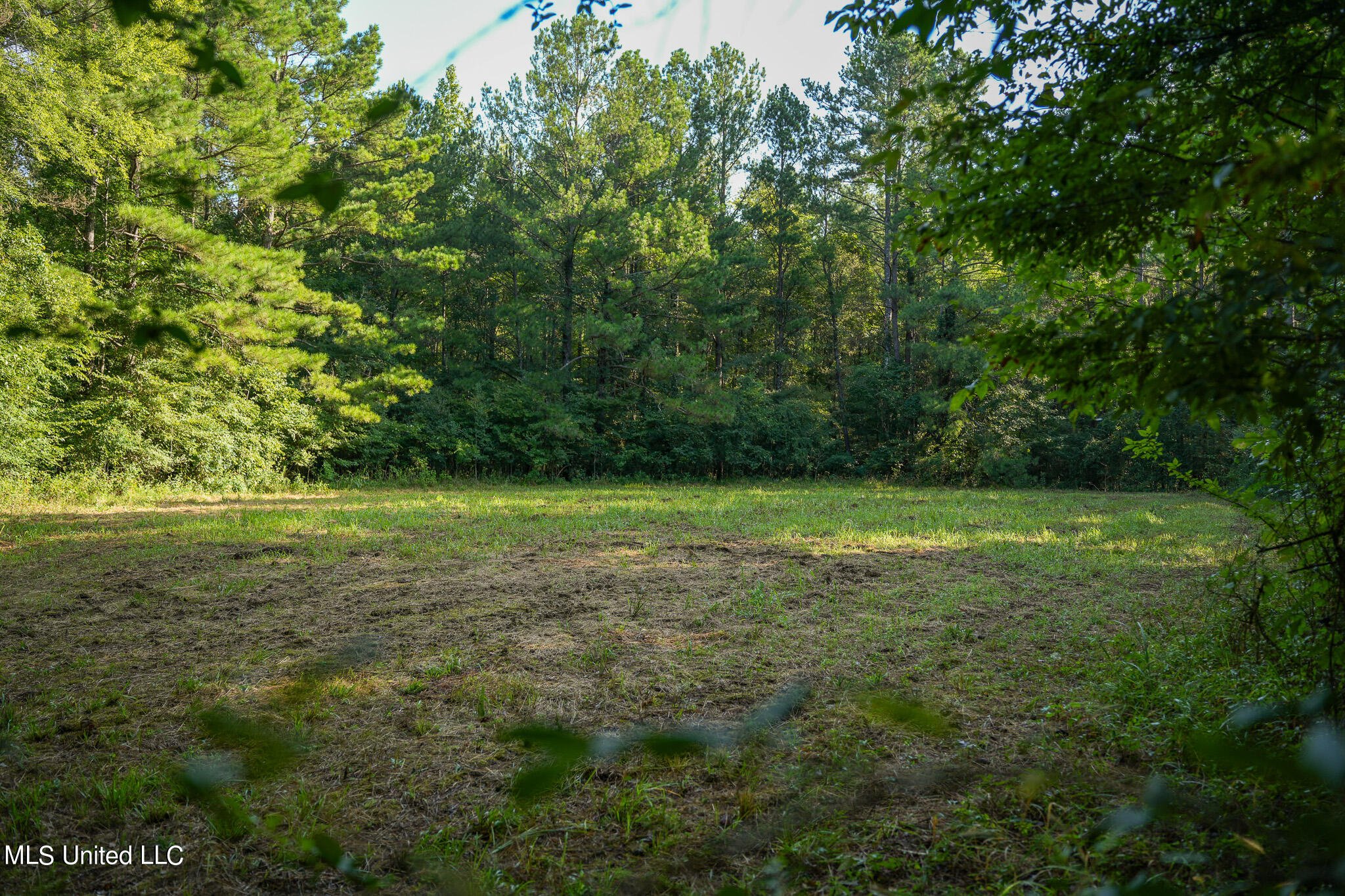 Highway 80, Forest, Mississippi image 48