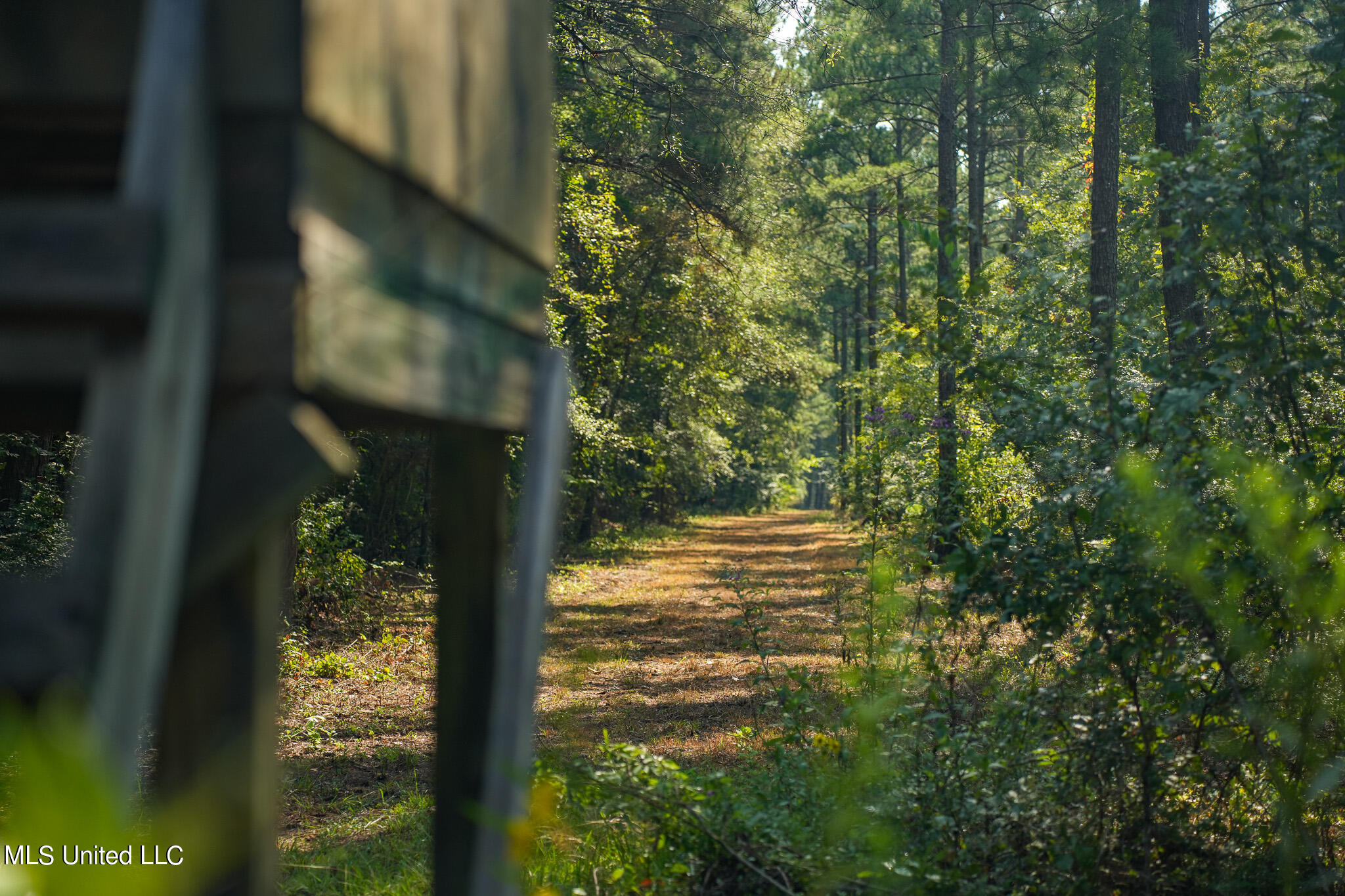 Highway 80, Forest, Mississippi image 29