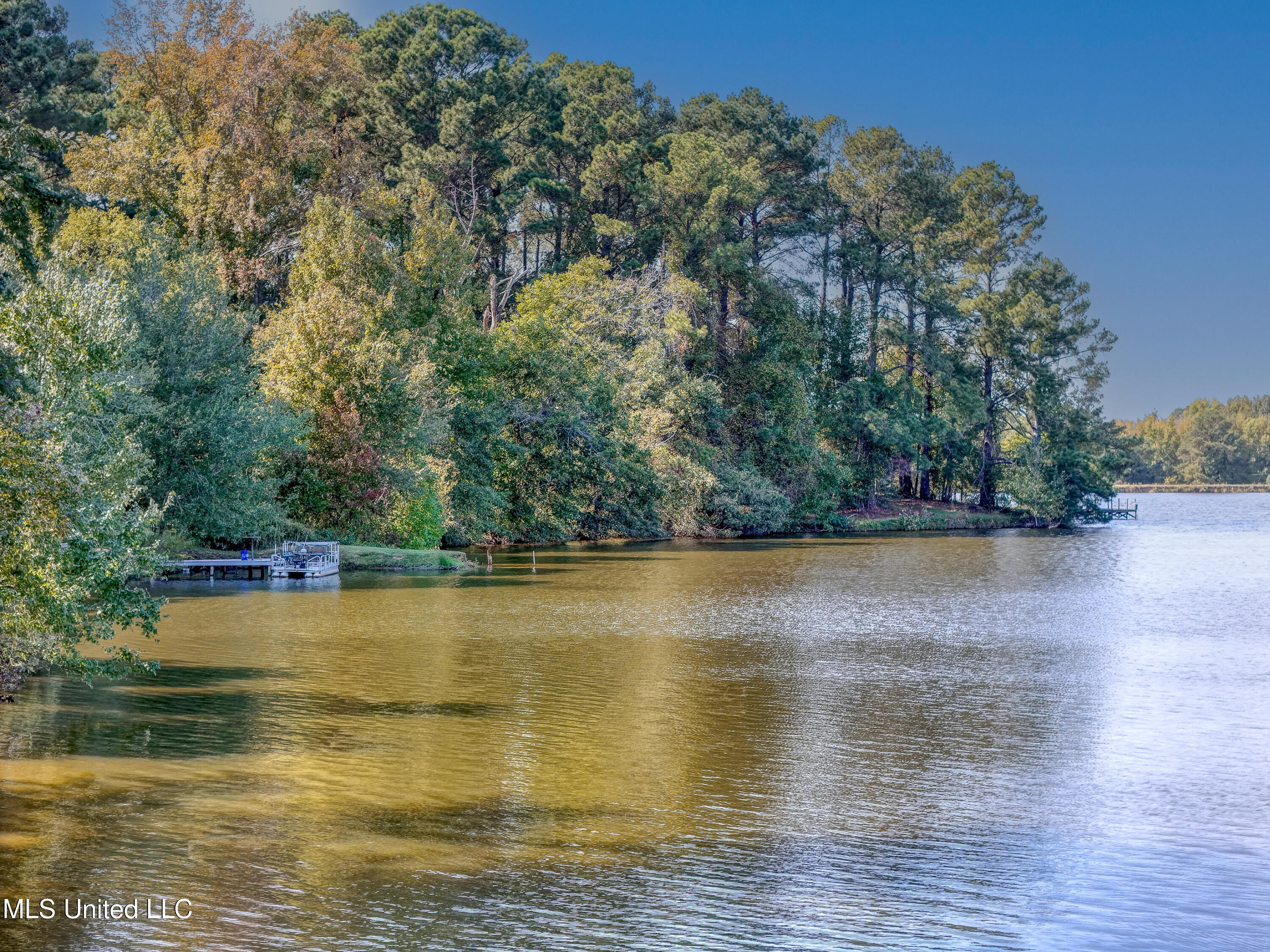 626 Cedar Hill Road, Flora, Mississippi image 29