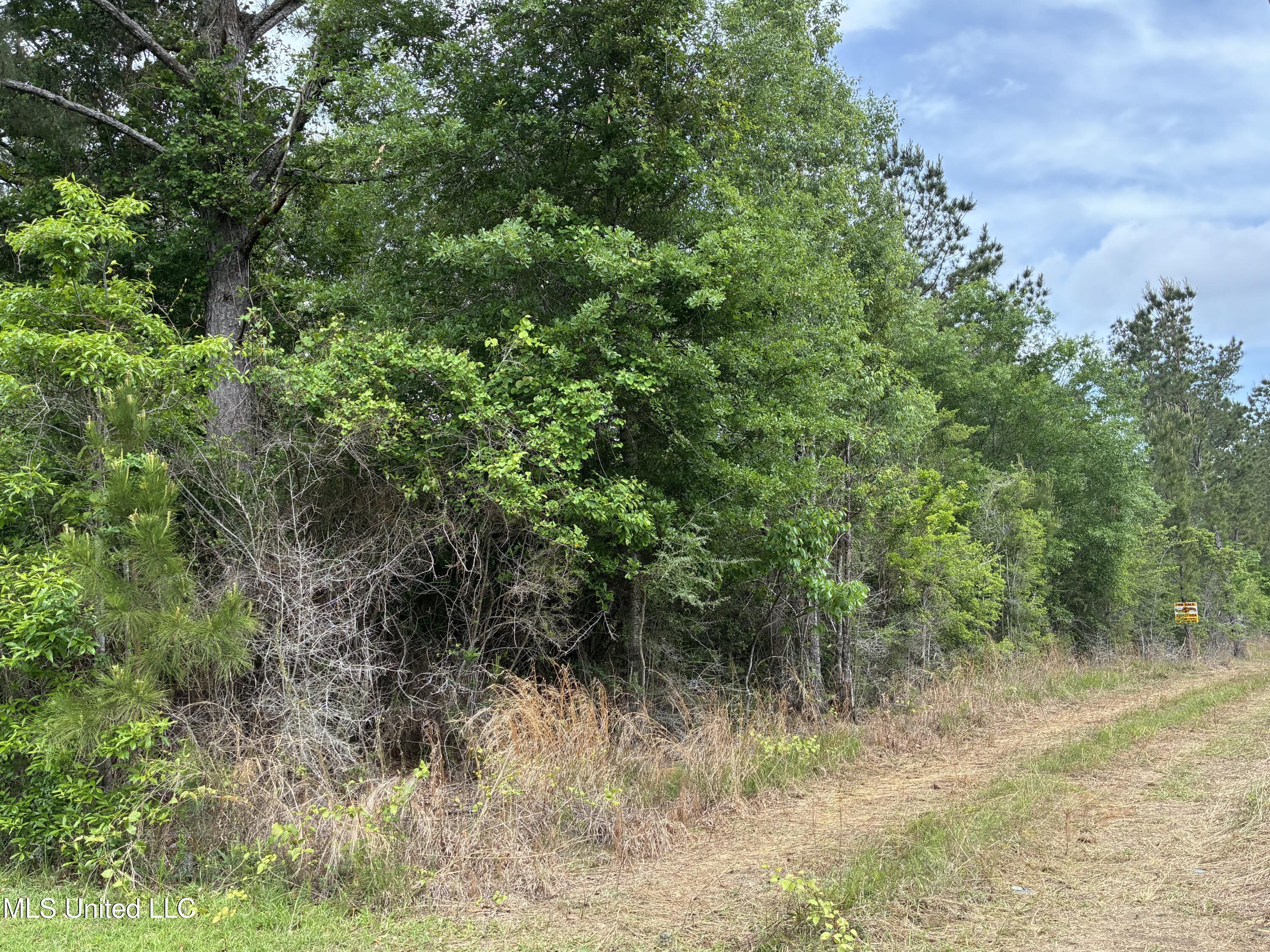 Lot 1 W. Wortham Road, Saucier, Mississippi image 3