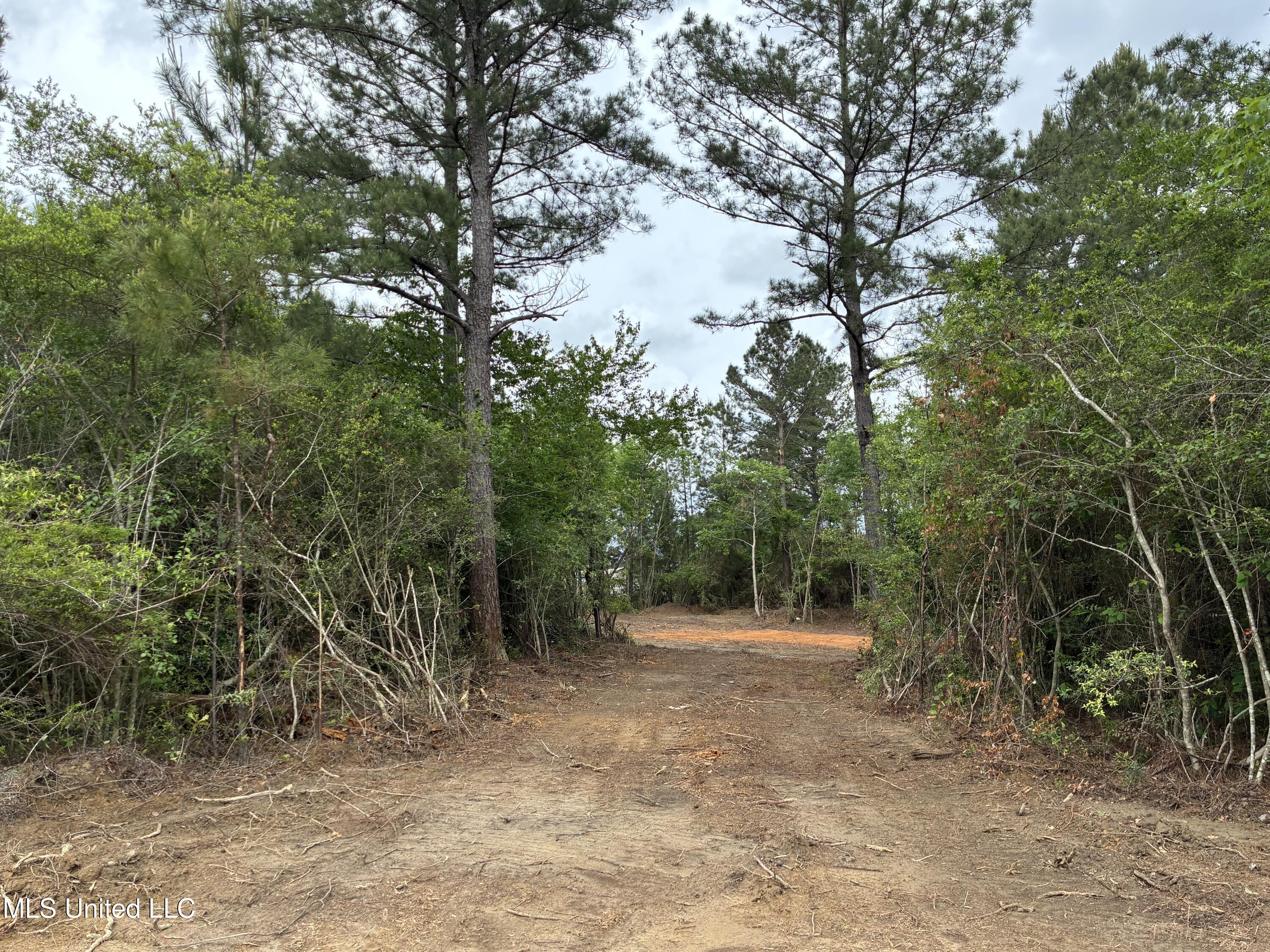 Lot 1 W. Wortham Road, Saucier, Mississippi image 2