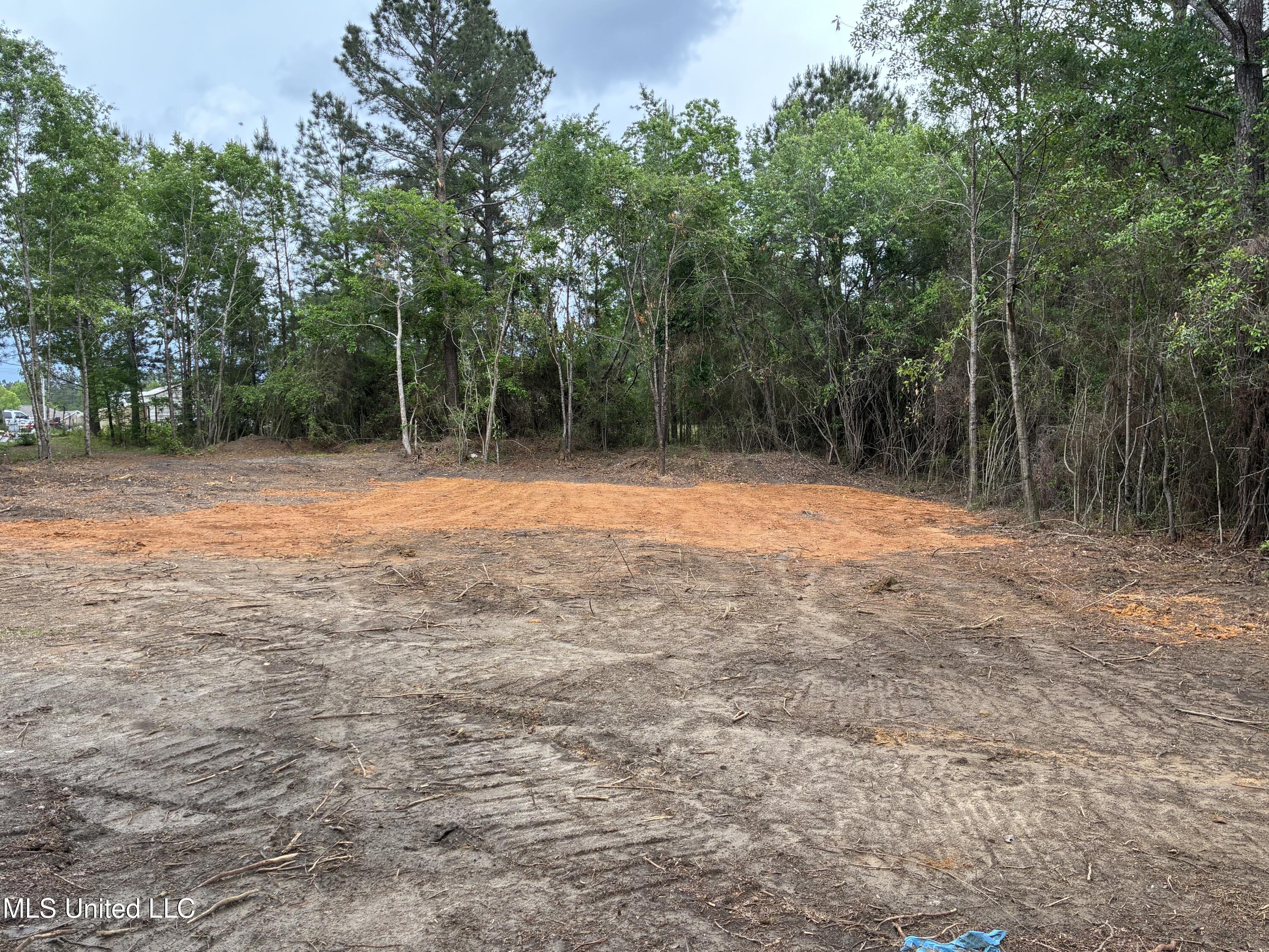 Lot 1 W. Wortham Road, Saucier, Mississippi image 9