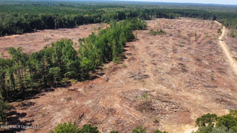 Vacant Land For Sale - 6 Cut Off Road<br/> Carthage, MS 39051
