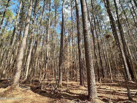 Vacant Land For Sale - 6 Cut Off Road<br/> Leake County, Carthage, MS 39051
