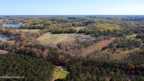 Vacant Land For Sale - Ms-22<br/> Madison County, Flora, MS 39071