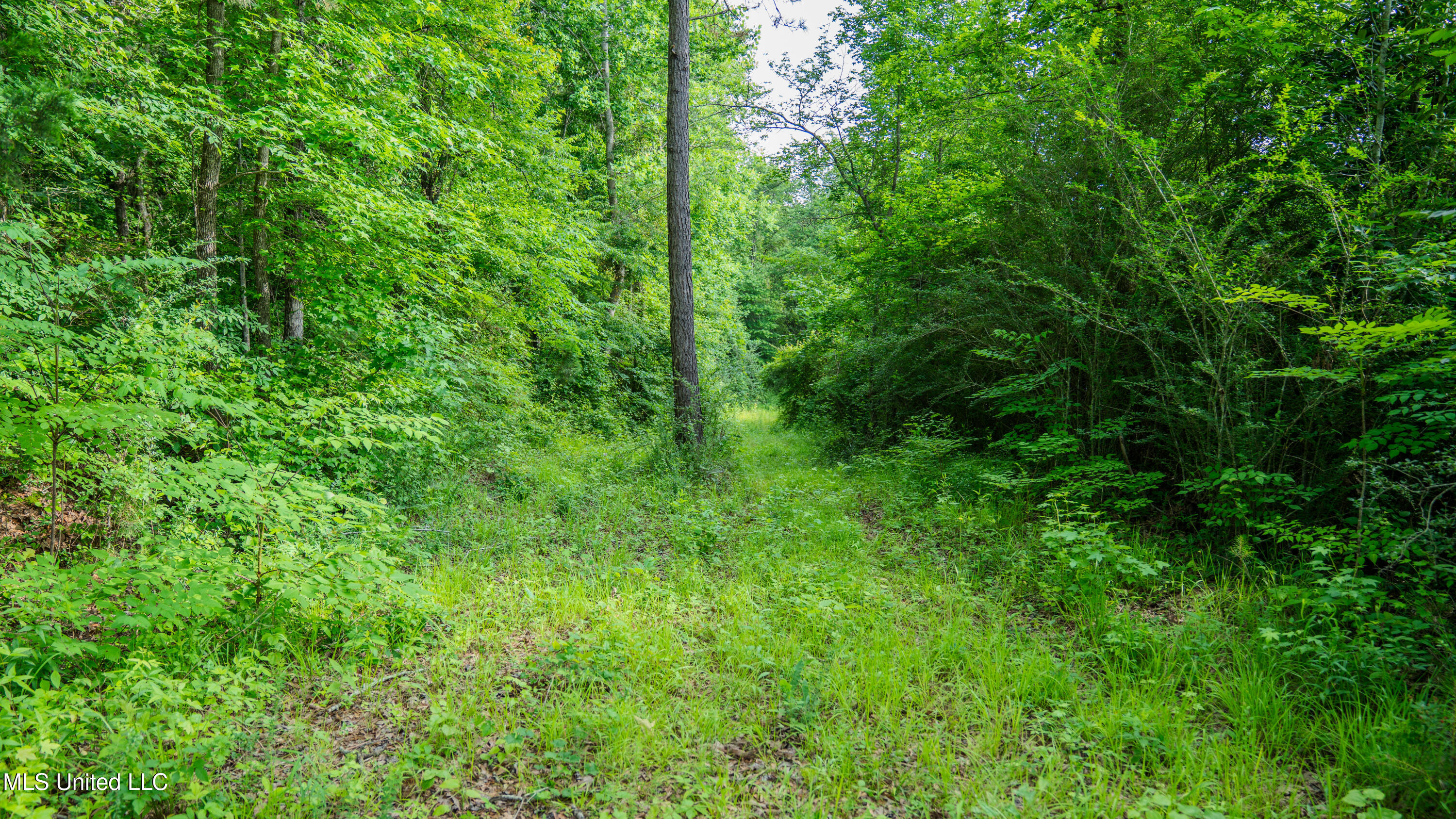 0000 Dixie School Highway, Toomsuba, Mississippi image 48