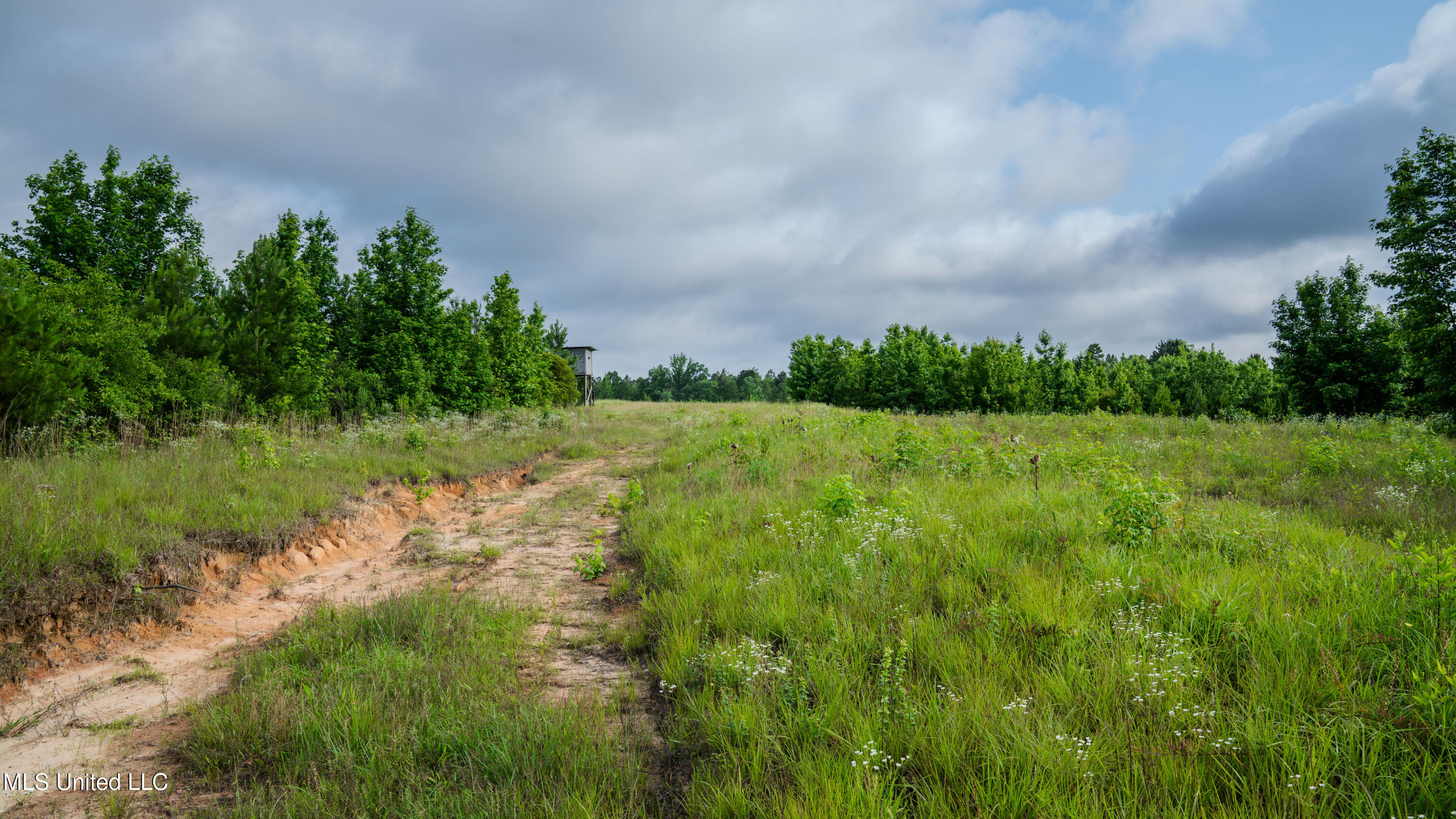 0000 Dixie School Highway, Toomsuba, Mississippi image 16