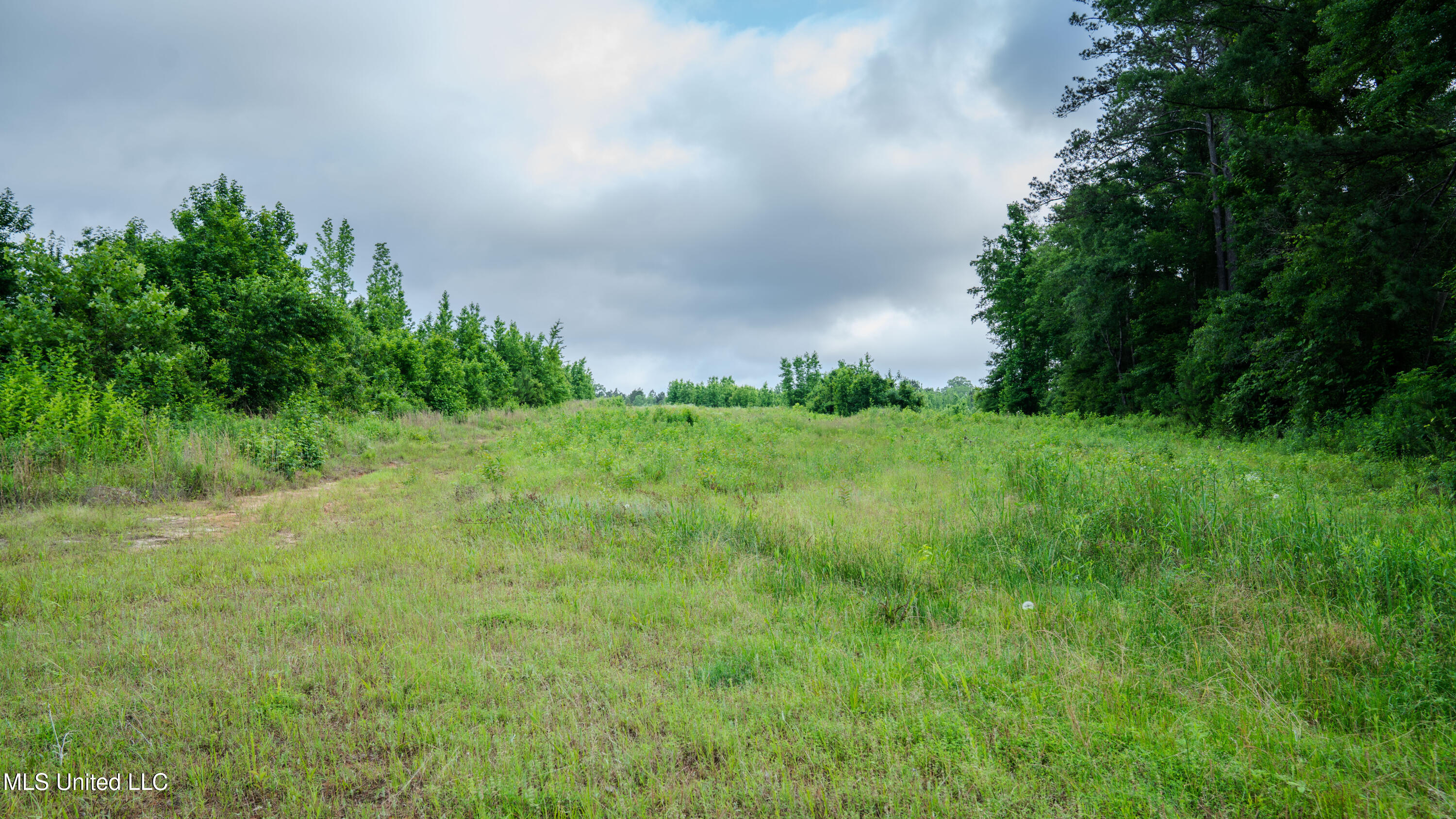 0000 Dixie School Highway, Toomsuba, Mississippi image 8