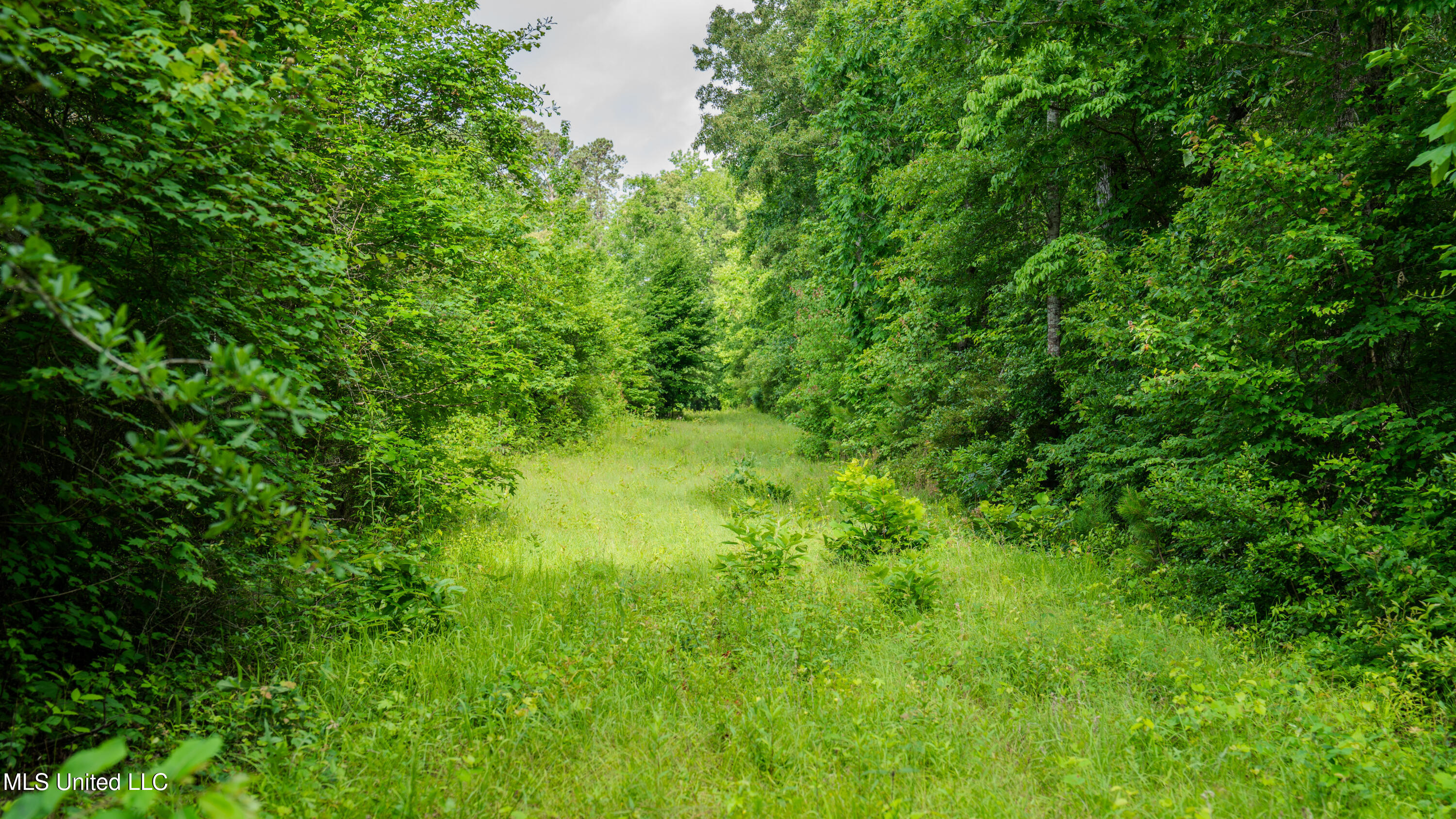 0000 Dixie School Highway, Toomsuba, Mississippi image 44