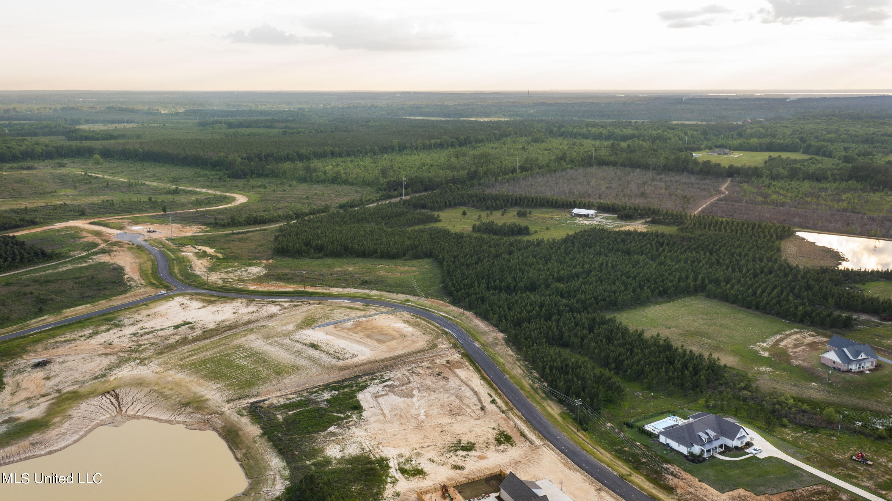 1021 Freedom Farms Crossing, Brandon, Mississippi image 8