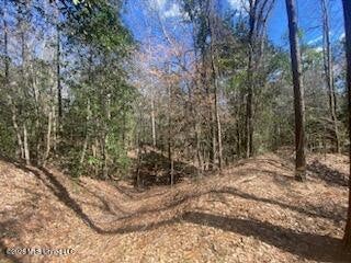 Vacant Land For Sale - Turkey Creek Road<br/> Natchez, MS 39120